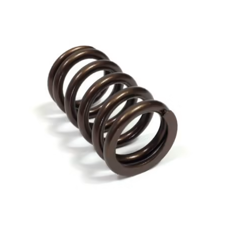 Jeu de 8 ressort de soupapes Cat Cams (R5 GT Turbo - R9/R11 Turbo)