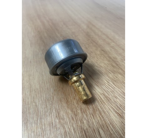 Thermostat 75°C (R5 Gt Turbo - R9/R11 Turbo)