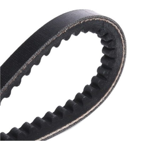 Courroie Accessoires Dayco Moteur Cléon C1J | GT Racing Parts